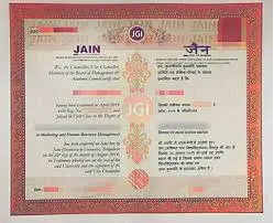 jain online mba certificate sample